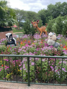 epcot after running the race