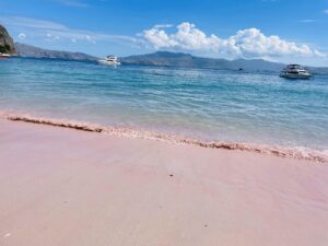 komodo island pink beach