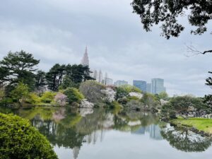 shinjuku goen national park tokyo