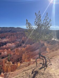 Bryce Canyon National Park