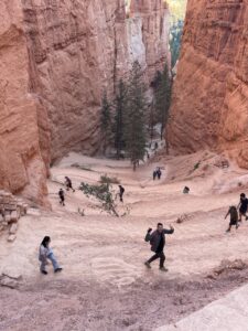 Switchbacks in Bryce Canyon National Park