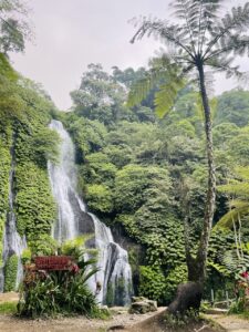 Banyumala Waterfall in Bali