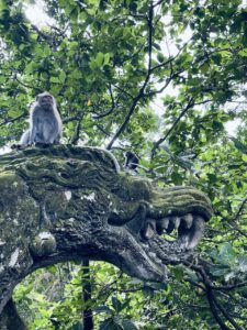 The sacred Monkey Forest Ubud