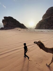 camel wadi desert