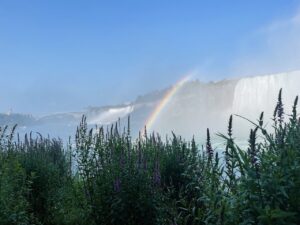 Niagara Falls in August