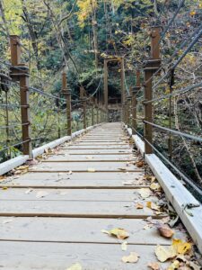 Mount Takao Trail 4 Suspension Bridge