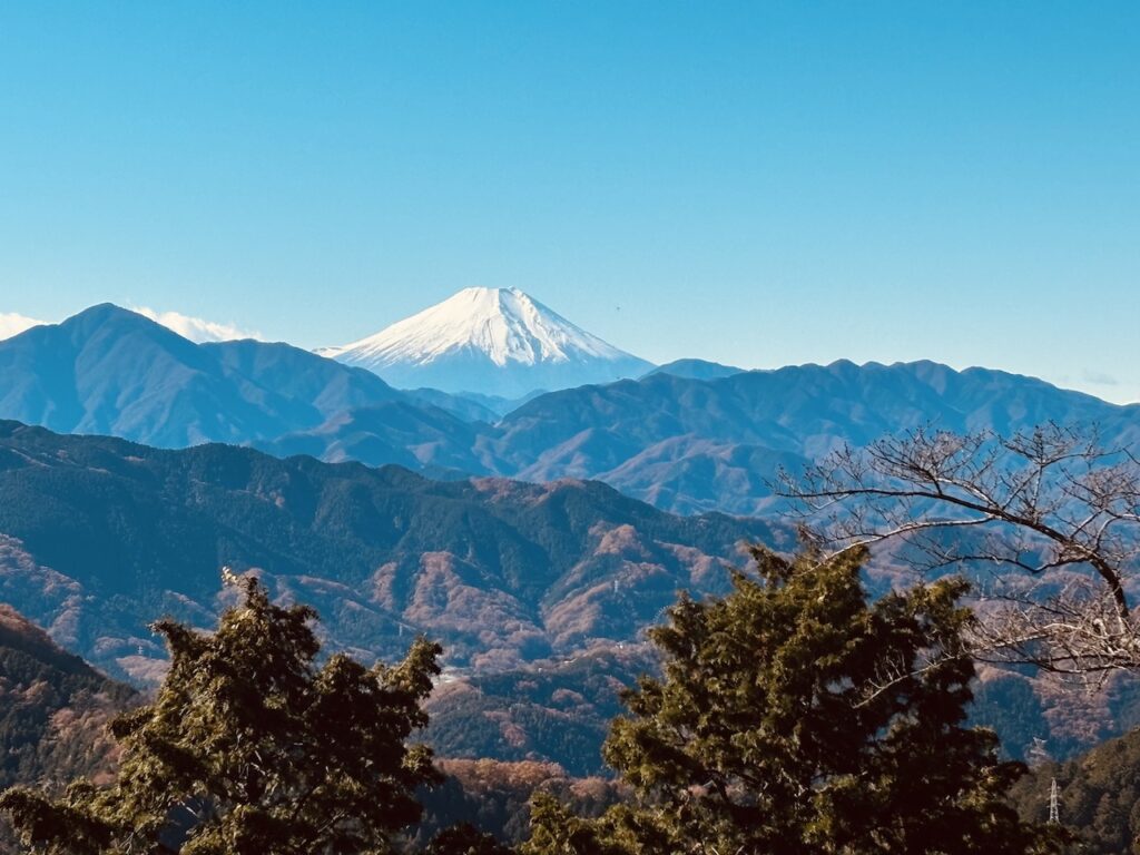 fuji from mount takao