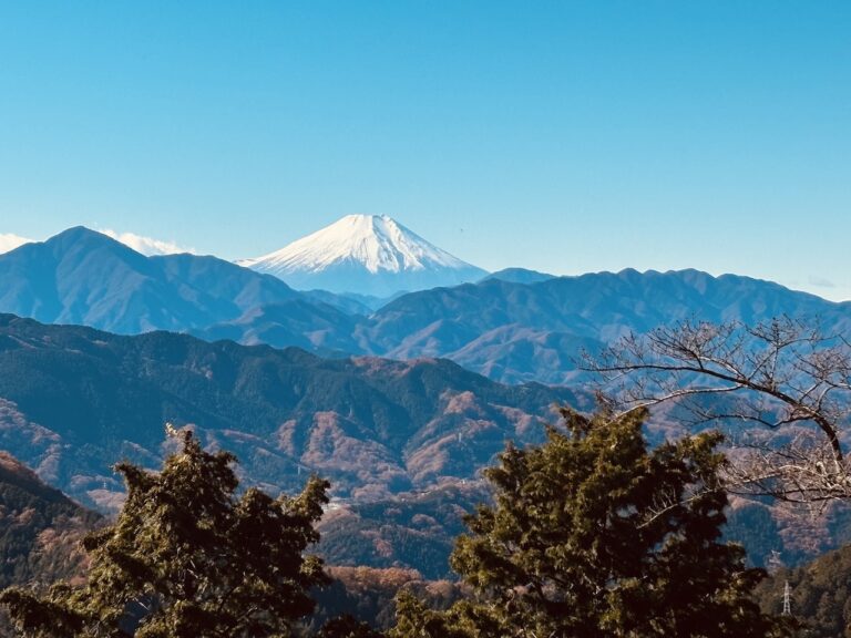 fuji from mount takao