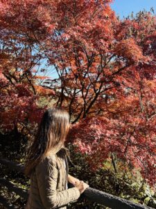 autumn leaves at Mount Takao