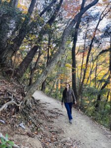 Mount Takao in fall