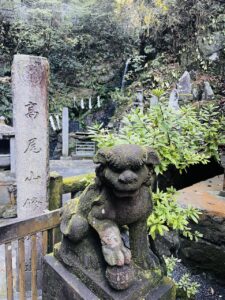 Yakuoin Temple Mount Takao