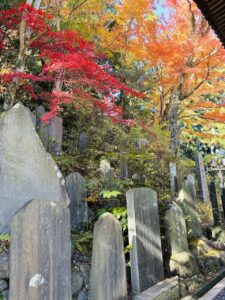 Yakuoin Temple Mount Takao in Fall