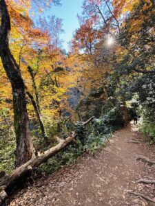 Mount Takao in Autumn