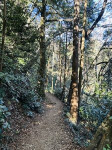 Trail 3 Mount Takao