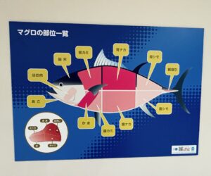 Tuna Auction at Toyosu Market