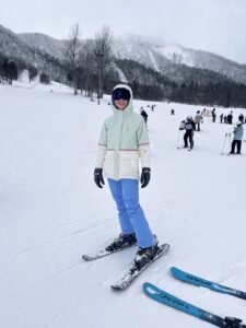 Hokkaido ski blades