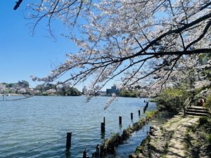 Parks in Toyko Japan