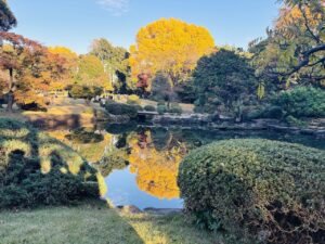 Shinjuku Gyoen in Autumn