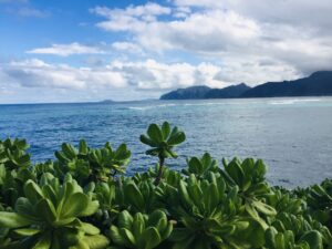 La'ie Point Oahu Hawaii