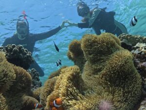 miyakojima snorkeling