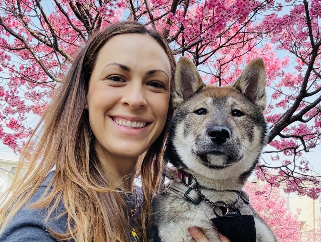 Shikoku Ken and Sakura