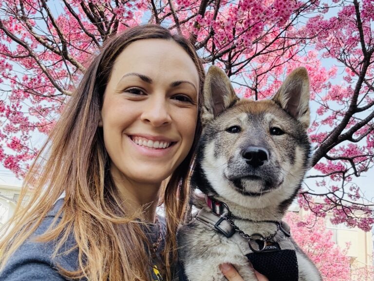 Shikoku Ken and Sakura