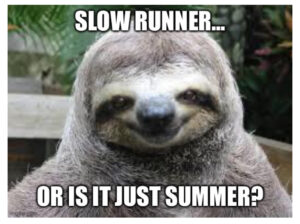 slow summer sloth runner meme