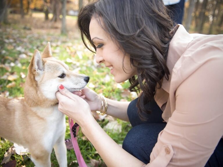 Shiba Inu