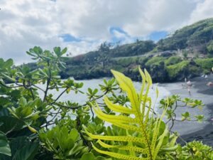 Road to Hana