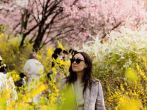 Cherry Blossoms Tokyo