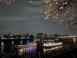 Cherry Blossoms at night Japan