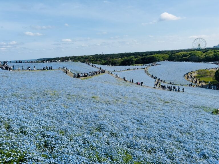 Hitachi Seaside Park